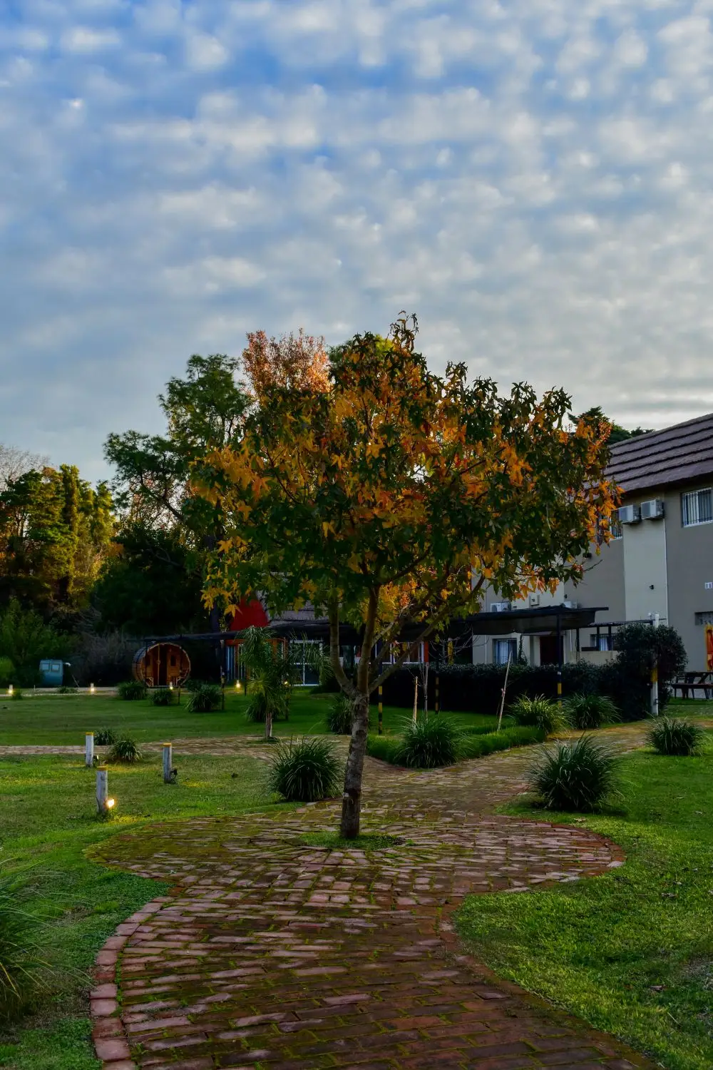 Parque
